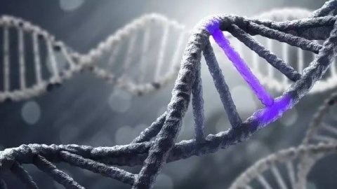 晚上不睡觉将会影响受损的DNA修复！