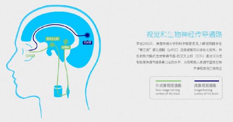 为什么k8凯发(中国)智能睡眠眼镜可以改善睡眠?