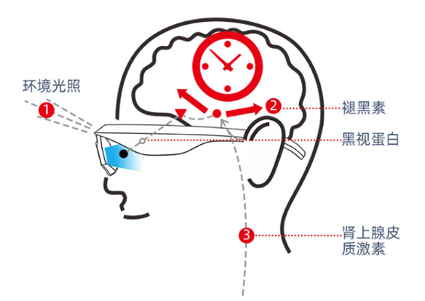 k8凯发(中国)智能睡眠眼镜的功能和原理